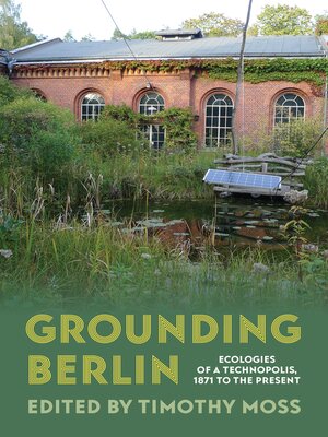 cover image of Grounding Berlin